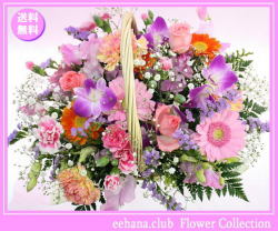 1��������֡��ϥåԡ������