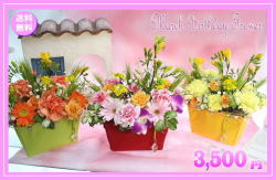 3��������֡��Х����åȥ���󥸲ָ����դ�3,500�ߡ�����̵���ۡڥե꡼����ۡڻͤ��ե�å������ܥȥ�����ġۥͥå��ò�����