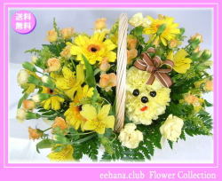 5月の誕生花 隠れプードルアレンジ