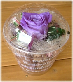 �ץꥶ���֥ɥե����ݥץꡡ�ѡ��ץ롡1,500�ߡڥͥå��ò���