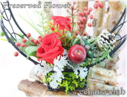 �ץꥶ���֥ɥե�