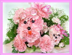 �ڥ��ס��ɥ�ڣȣ��УУ١ۡ�6,000�ߥ���󥸡�