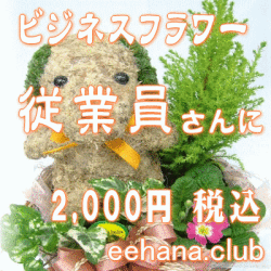 ���Ȱ������£��֡�2,000�ߡ�