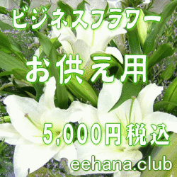 �������ե���5,000��