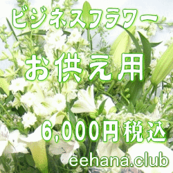 �������ե���6,000��