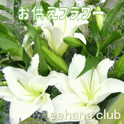 �����ʤ��ե塼�ͥ��Flower.