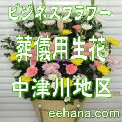 �򵷡����Ѷ��֡��������϶�