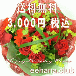 ����������3,000�ߡ�����̵����