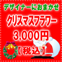 �ǥ����ʡ��ˤ��ޤ�����X'mas�ե�3,000�ߡ��ǹ��ۥͥå��ò�����