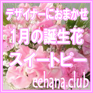 �ǥ����ʡ��ˤ��ޤ����ե�