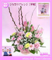 �Ҥʺפꥢ��󥸡ڲ�ɱ��3,500�ߡں�����������̵���ۥͥå��ò���