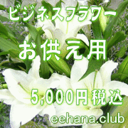�������ե���5,000��