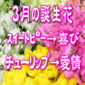 ����βָ���