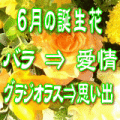 ����βָ���