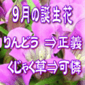 9���������