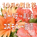 10���������