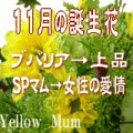 ������βָ���