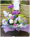 �֥롼�ࡼ��Ĺ������󥸥��ȡڷ�Ϸ�����۸��ꡪ�ͥå��ò���