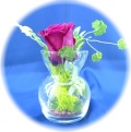 �ץꥶ���֥ɥե�
