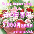 �������£��֢��ǥ����ʡ��ˤ��ޤ�����5,000�ߡۡ�����̵����