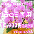 �������£��֢��ǥ����ʡ��ˤ��ޤ�����10,000�ߡۡ�����̵����