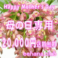 �������£��֢��ǥ����ʡ��ˤ��ޤ�����20,000�ߡۡ�����̵����