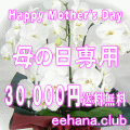 �������£��֢��ǥ����ʡ��ˤ��ޤ�����30,000�ߡۡ�����̵����