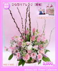 �Ҥʺפꥢ��󥸡ڲ�ɱ��5,000�ߡں�����������̵���ۥͥå��ò���