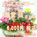 ���Ȱ������£��֡�6,000��