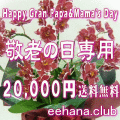 ��Ϸ�������ѡ��ǥ����ʡ��ˤ��ޤ����ե���20,000�ߡۡ�����̵���ۥͥå��ò���
