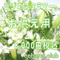 �������ե���8,000��
