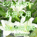 �������ե���20,000��
