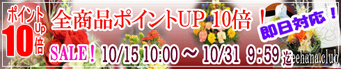 ポイントＵＰ企画！開催中！！