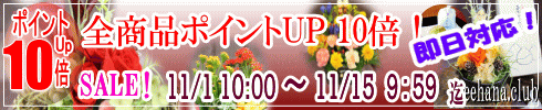 ポイントUP企画!開催中!!