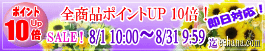 ポイントＵＰ企画！開催中！！