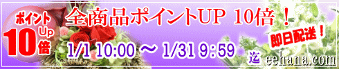 ポイントＵＰ企画！開催中！！