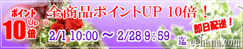 ポイントＵＰ企画！開催中！！