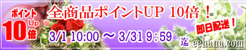 ポイントＵＰ企画！開催中！！