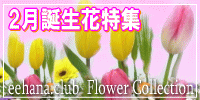2月の誕生花【チューリップ】特集