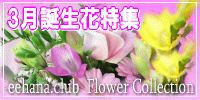 3月の誕生花【フリージャ】特集
