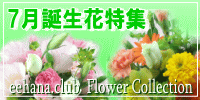 7月の誕生花【トルコキキョウ】特集