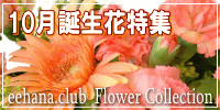 10月の誕生花【ガーベラ】特集