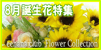8月の誕生花【ひまわり】特集