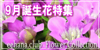 9月の誕生花【リンドウ】特集