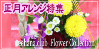 正月アレンジ特集