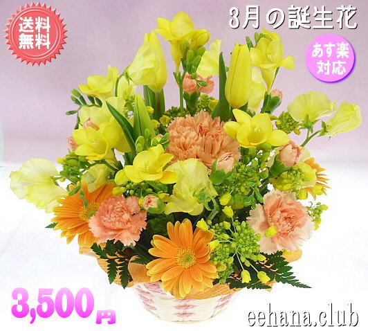 花ギフト3月の誕生花 誕生日 フリージア バラ お祝い お供え花アレンジ 花束 プリザーブドフラワー特集 送料無料 いい花コム 花ギフト3月の誕生花 誕生日 フリージア バラ お祝い お供え花アレンジ 花束 プリザーブドフラワー特集 送料無料 いい花コム
