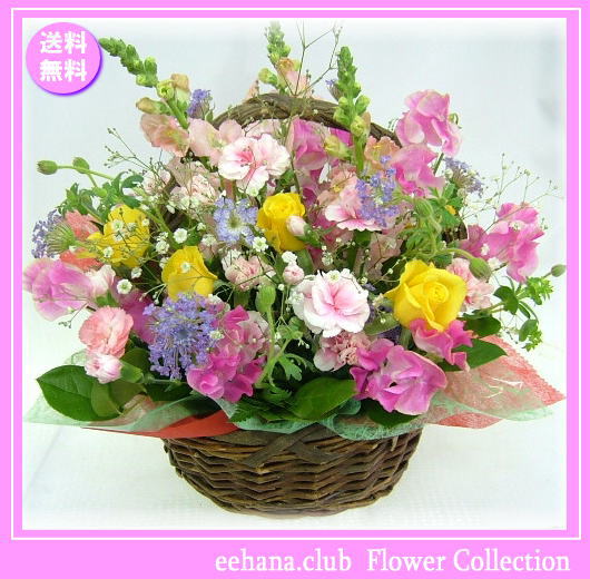4月の誕生花 カラフルアレンジ