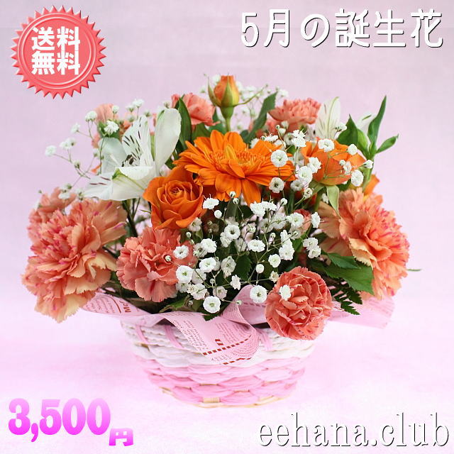 5月の誕生花