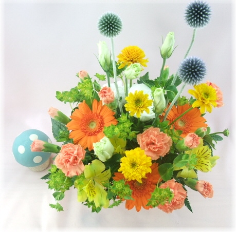7月の誕生花