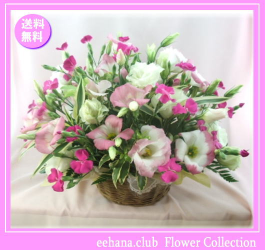 7月の誕生花